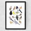 Birds In Glasses Medium Black Frame