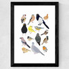 Birds In Glasses Wide Black Frame
