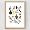 Birds In Glasses Wide Oak Frame