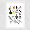 Birds In Glasses Narrow White Frame