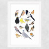 Birds In Glasses Wide White Frame