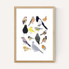 Birds In Glasses
