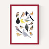 Birds In Glasses