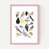 Birds In Glasses