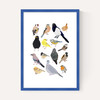 Birds In Glasses
