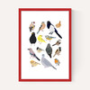 Birds In Glasses