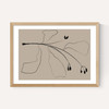 Simply Line Plant