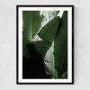 Banana Beach Palm Narrow Black Frame