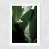 Banana Beach Palm Narrow White Frame