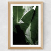 Banana Beach Palm Wide Oak Frame