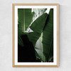 Banana Beach Palm Medium Oak Frame