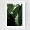 Banana Beach Palm Medium White Frame