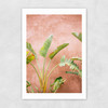 Marrakech Palms Unframed Print