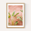 Marrakech Palms
