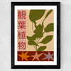 House Plants Large Wide Black Frame