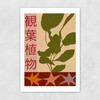 House Plants Large Unframed Print