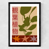 House Plants Large Medium Black Frame