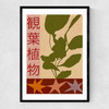 House Plants Large Narrow Black Frame