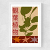 House Plants Large Medium White Frame