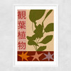 House Plants Large Narrow White Frame