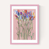Pink Flowers
