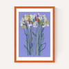 Lilac Flowers