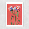 Coral Flowers Unframed Print