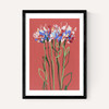 Coral Flowers