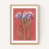 Coral Flowers