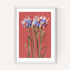 Coral Flowers