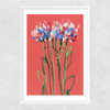 Coral Flowers Narrow White Frame