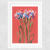 Coral Flowers Wide White Frame