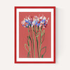 Coral Flowers
