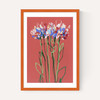Coral Flowers