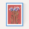 Coral Flowers