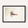 Cat by Jason Ratliff