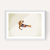 Cat by Jason Ratliff