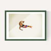 Cat by Jason Ratliff