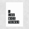 I Like Nice Things Unframed Print