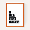 I Like Nice Things