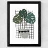 Monstera Wide Black Frame