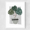 Monstera Medium White Frame