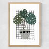 Monstera