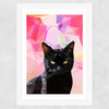 White Cat Wide White Frame