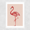 Flamingo by Studio Cockatoo