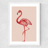 Flamingo by Studio Cockatoo
