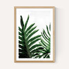 Leaves 1