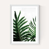 Leaves 1