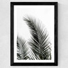 Palm Leaves 1 Wide Black Frame