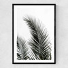 Palm Leaves 1 Narrow Black Frame